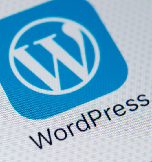 Custom WordPress Themes Plugins Web Design