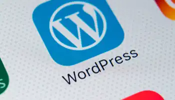 Custom WordPress Themes & Plugins