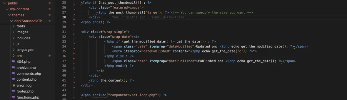 WordPress Themes: Custom Code view